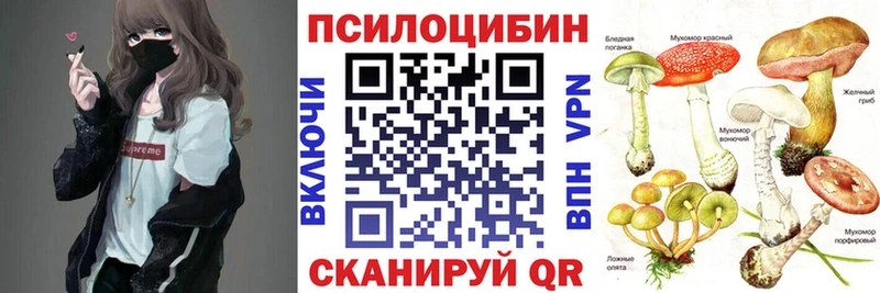 hydra вход  Якутск  Галлюциногенные грибы Cubensis 